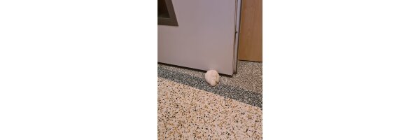 Türstopper