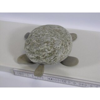 Schildkröte 2 / 15x12x4 cm