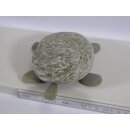Schildkröte 2 / 15x12x4 cm
