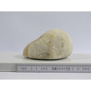Türstopper hellbeige 1