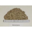 Breccia Aurora